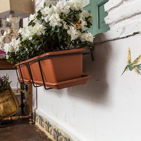 Patio Márquez Panzió Córdoba Kültér fotó