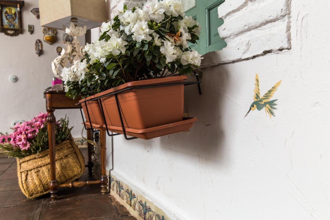 Patio Márquez Panzió Córdoba Kültér fotó